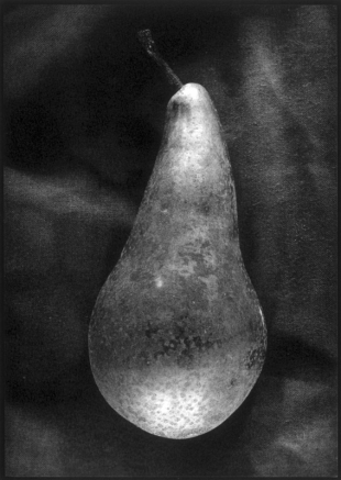Pear, Duotone Collotype, 2000